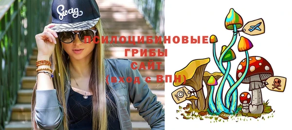 молекула духа Вязники