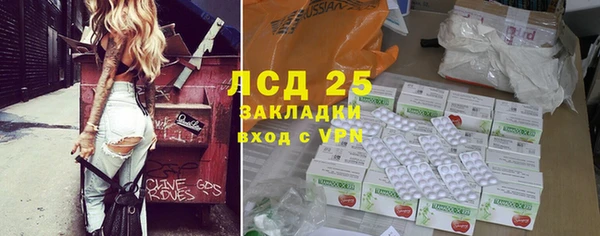 ALPHA PVP Горнозаводск