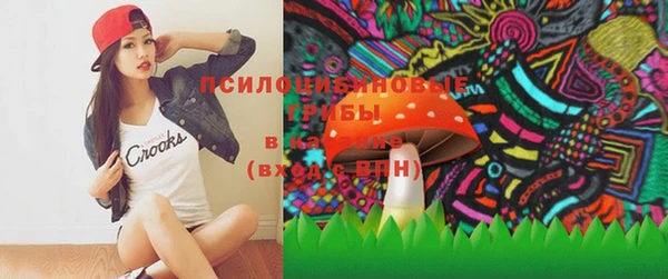 молекула духа Вязники